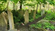 PICTURES/Highgate Cemetery East & West - London, England/t_20230520_112430.jpg